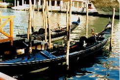 Venezia 11b1