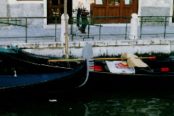 Venezia 17b